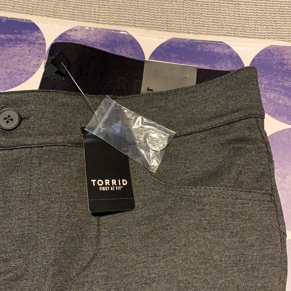 Torrid pants
